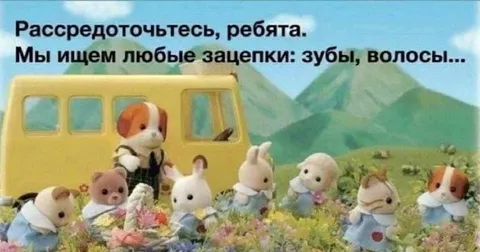 Зайчики ищут зацепки