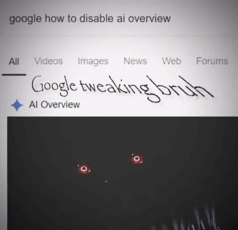 Google AI Overview Gone Wrong
