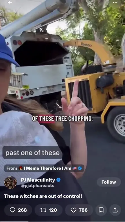 Postpartum Intrusive Thoughts Tree Chopper