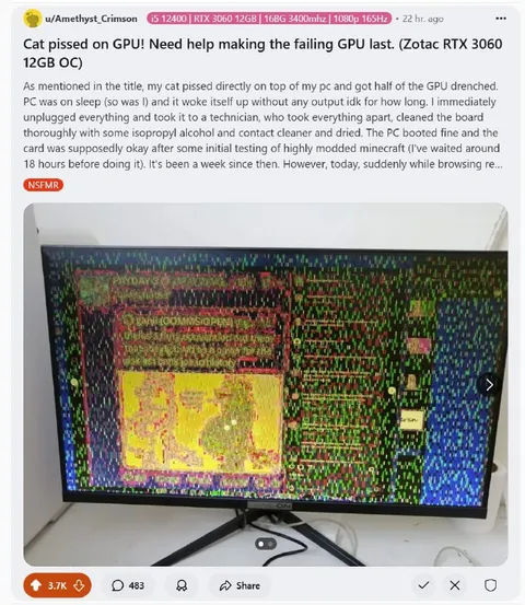 Cat Pissed on GPU