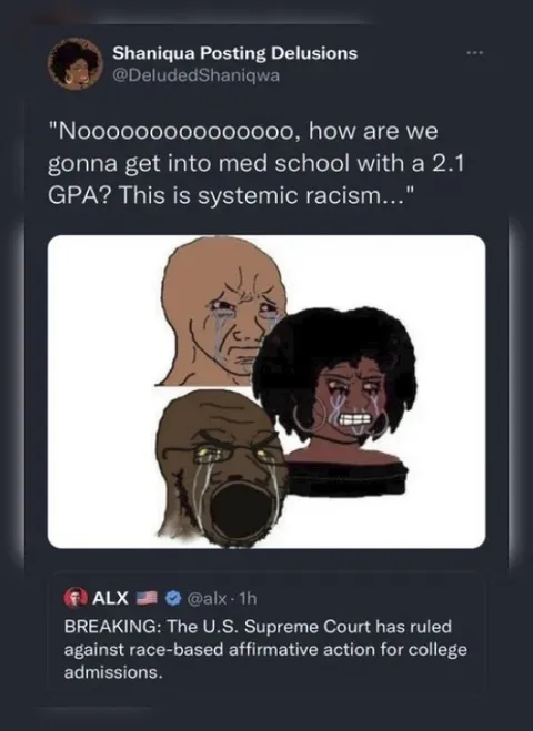 Systemic Racism Med School Reaction