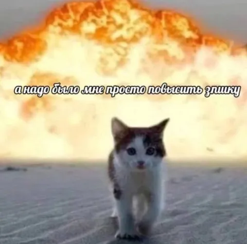 Котёнок повышает эпичку