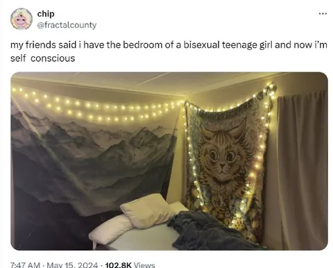 Bisexual Teenage Girl Bedroom