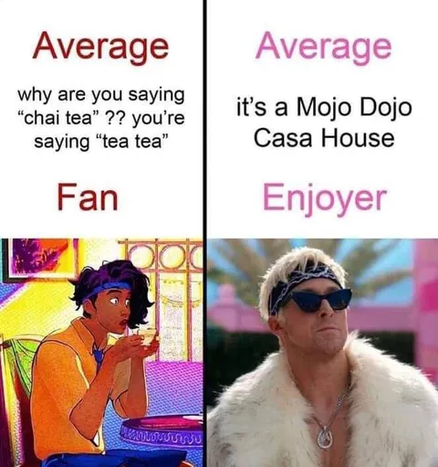 Average Fan vs Average Enjoyer