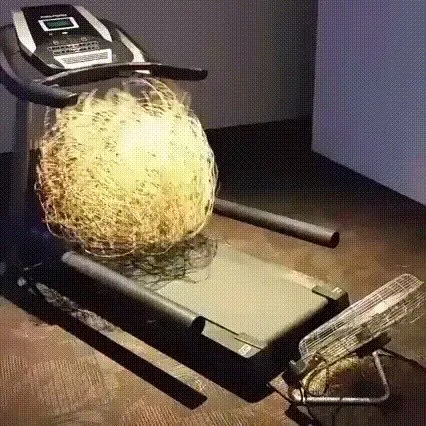 Пылесос пытается съесть клубок