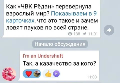 Казацтво и «ЧВК Рёдан»