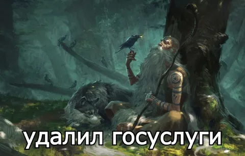 Удалил Госуслуги