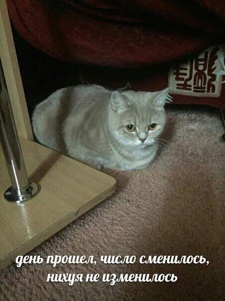 День прошел, ничего не изменилось