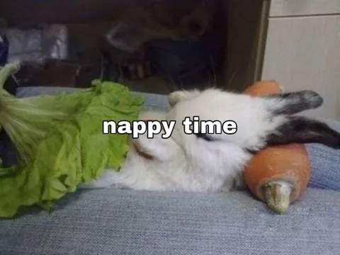 Bunny Nappy Time