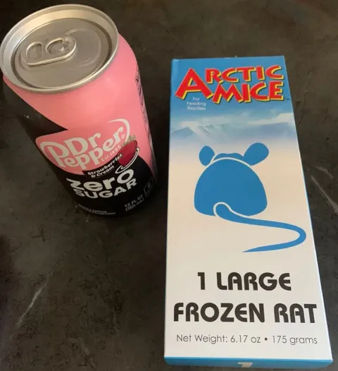 Zero Sugar and Frozen Rat