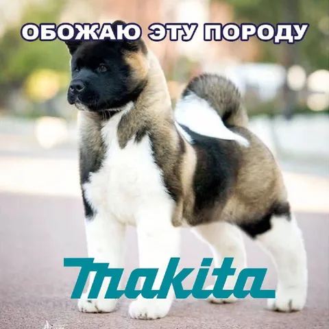 Обожаю эту породу Makita