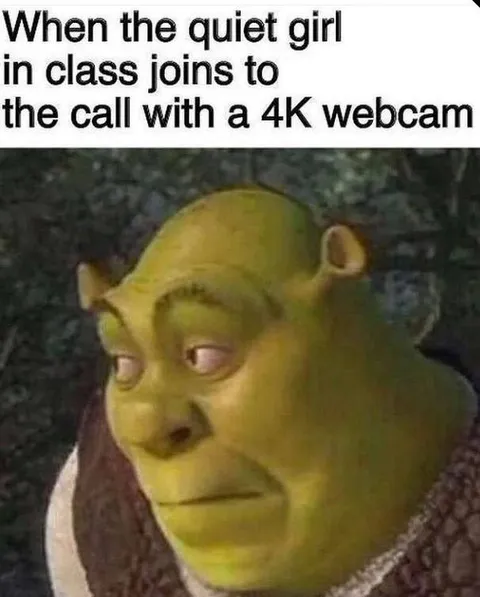Quiet Girl Joins 4K Call