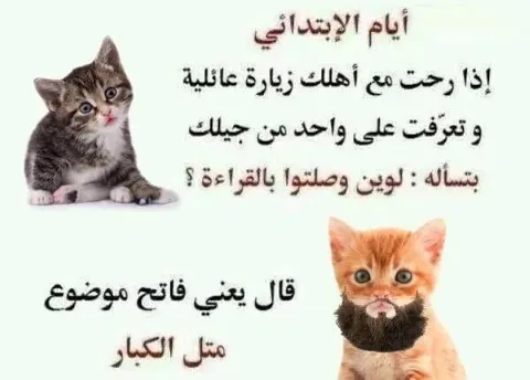 سؤال القراءة في الزيارة العائلية