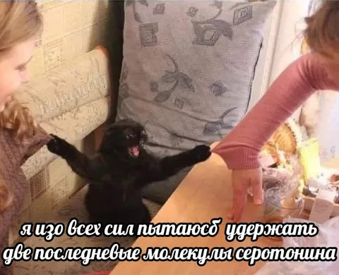 Последние молекулы серотонина