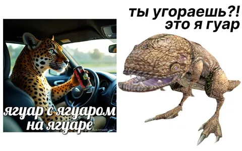 Ягуар с ягуаром на ягуаре