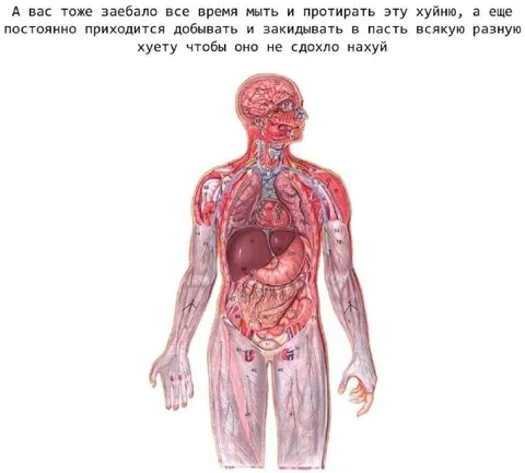 Заебало обслуживать тело