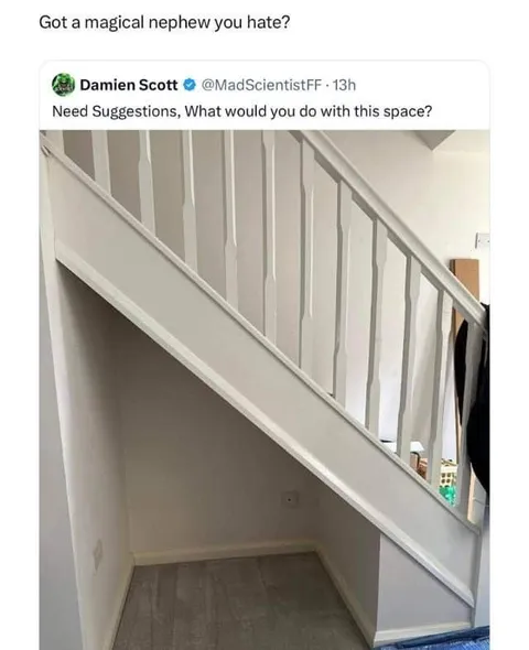 Magical Nephew Under the Stairs