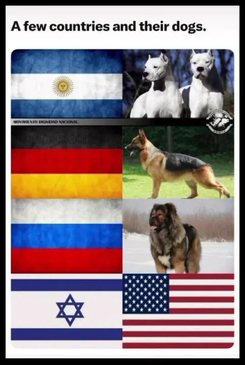 Countries and Their Dogs