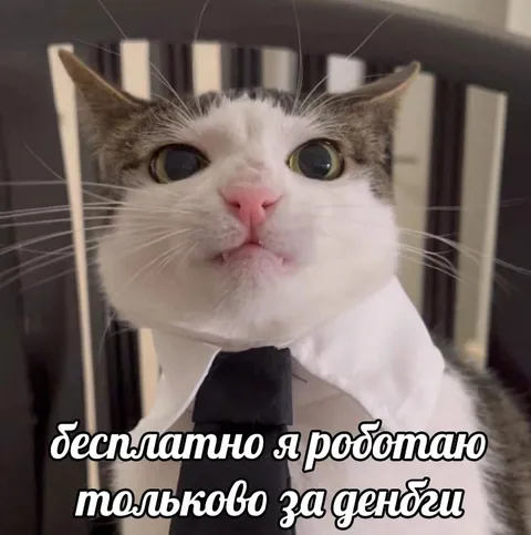 Кот работает за деньги