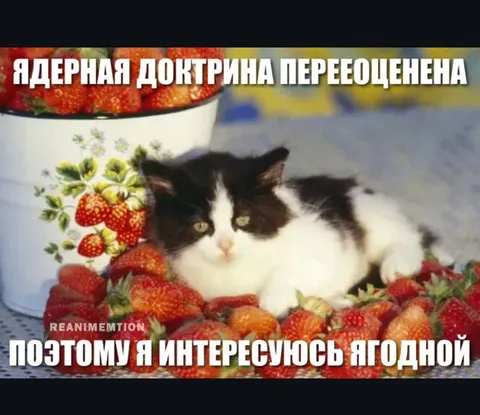Ядерная доктрина переоценена