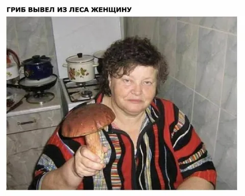 Гриб вывел женщину из леса