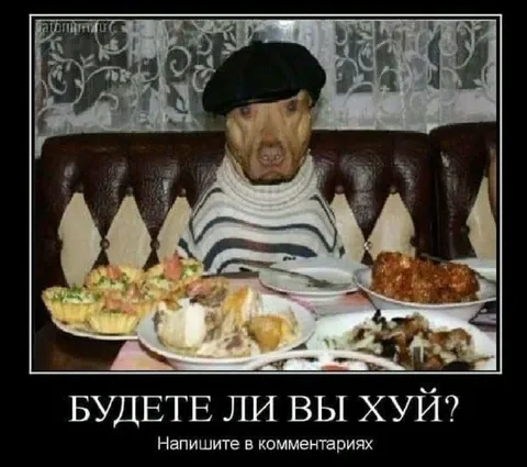 Будете ли вы хуй?