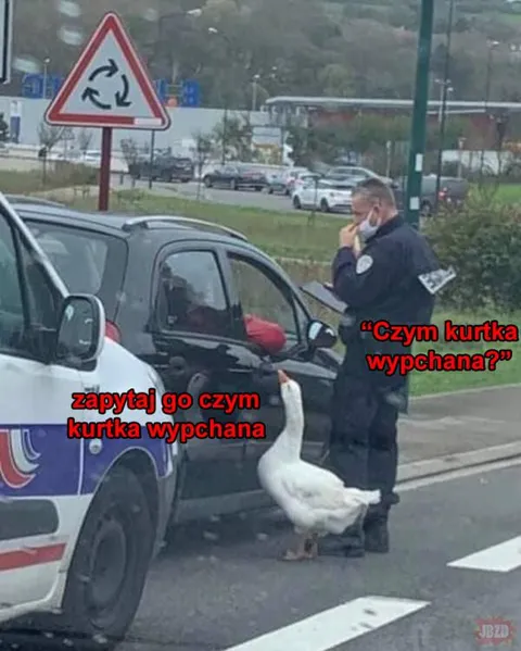 Czym kurtka wypchana