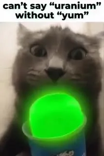Cat Says Uranium Yum