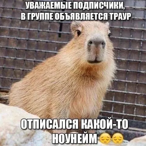 Траур по отписавшемуся ноунейму