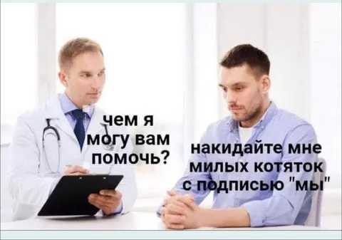 Милые котятки с подписью «мы»