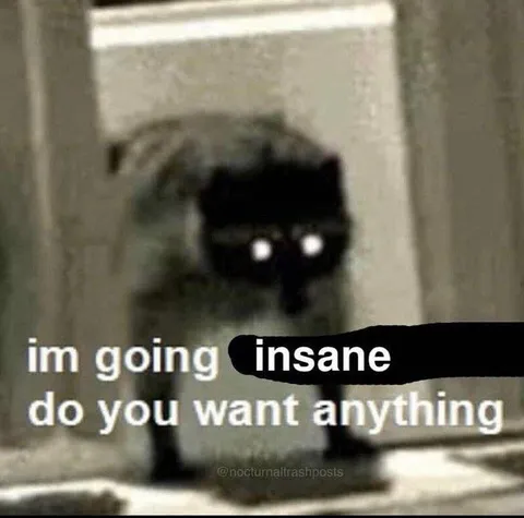 I'm Going Insane Cat