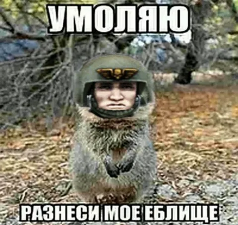 Умоляю, разнеси моё еблище