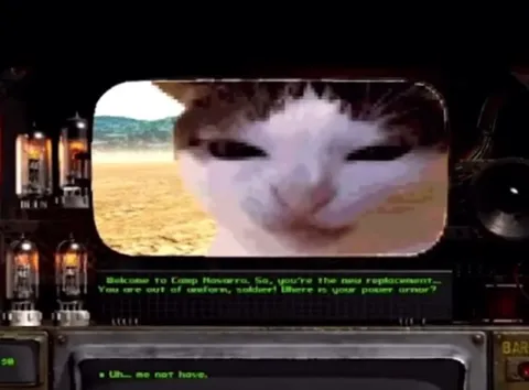 Cat Has No Power Armor