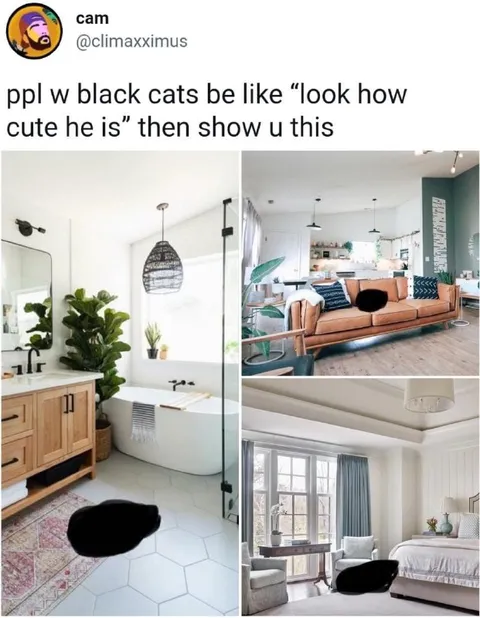 Black Cat Interior Tour