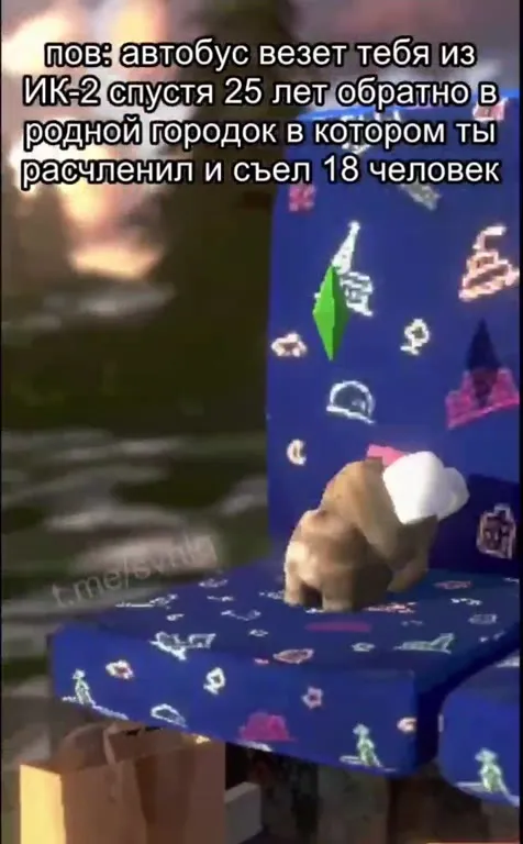 Автобус возвращает каннибала домой