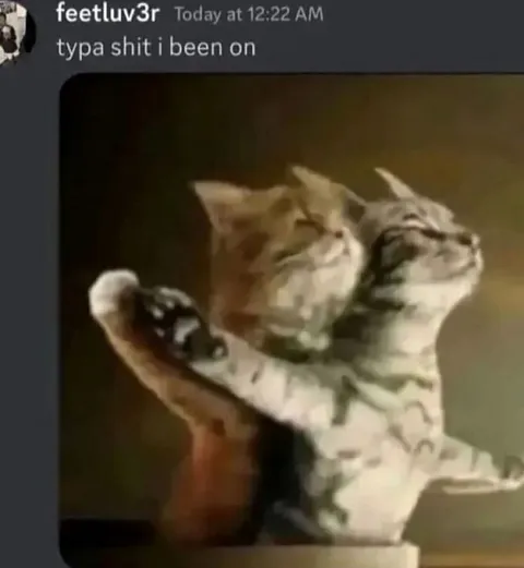 Typa Shit I Been On Cats