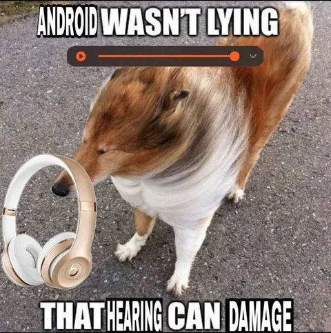 Android Wasn't Lying About Hearing Damage