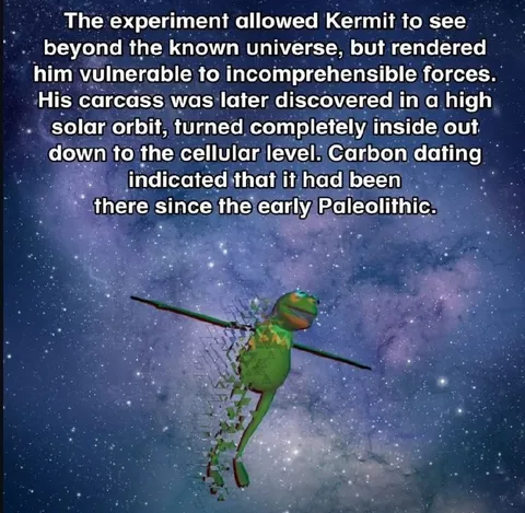 Kermit Sees Beyond the Universe