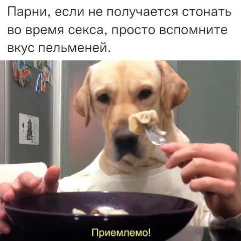 Вкус пельменей помогает в сексе
