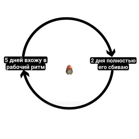 Цикл рабочего ритма