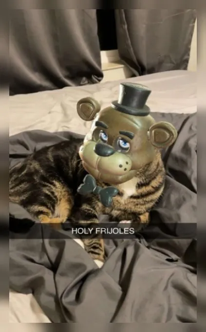 Holy Frijoles Cat