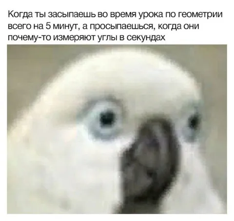 Проснулся на измерении углов