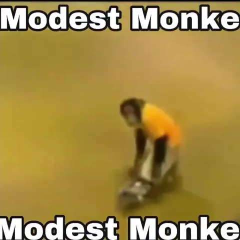Modest Monke Skateboard Crash