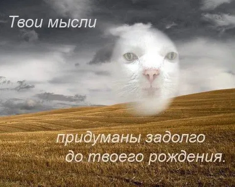Твои мысли придуманы заранее