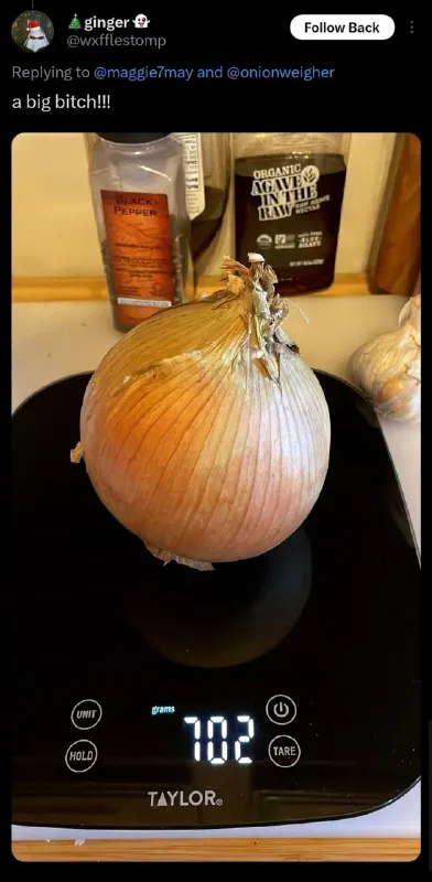 A Big Bitch Onion