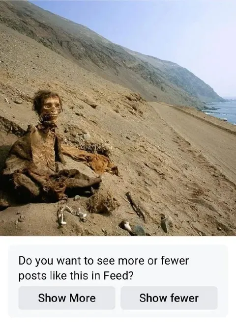 More or Fewer Posts Like This