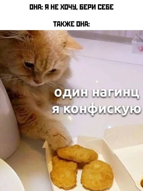 Кот конфискует один нагинец