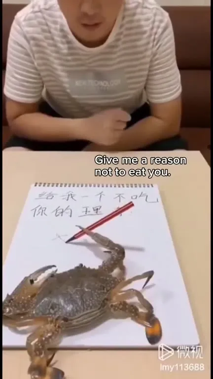 I Love China Crab