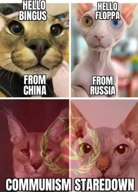 Bingus and Floppa Communism Staredown