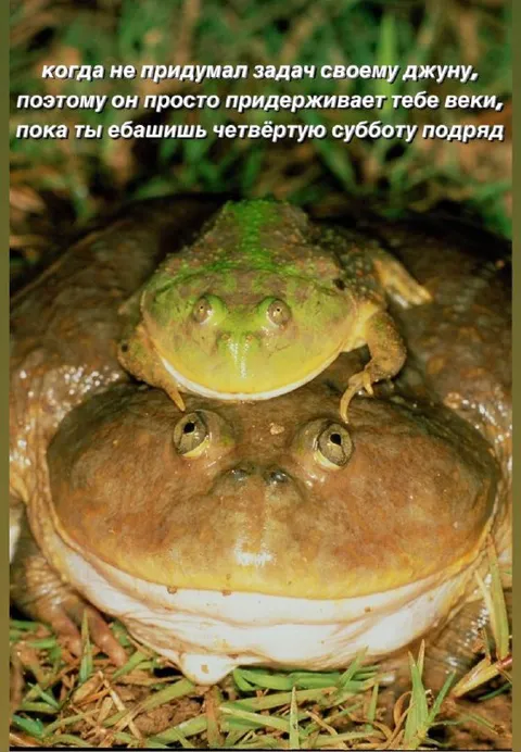 Джун держит веки